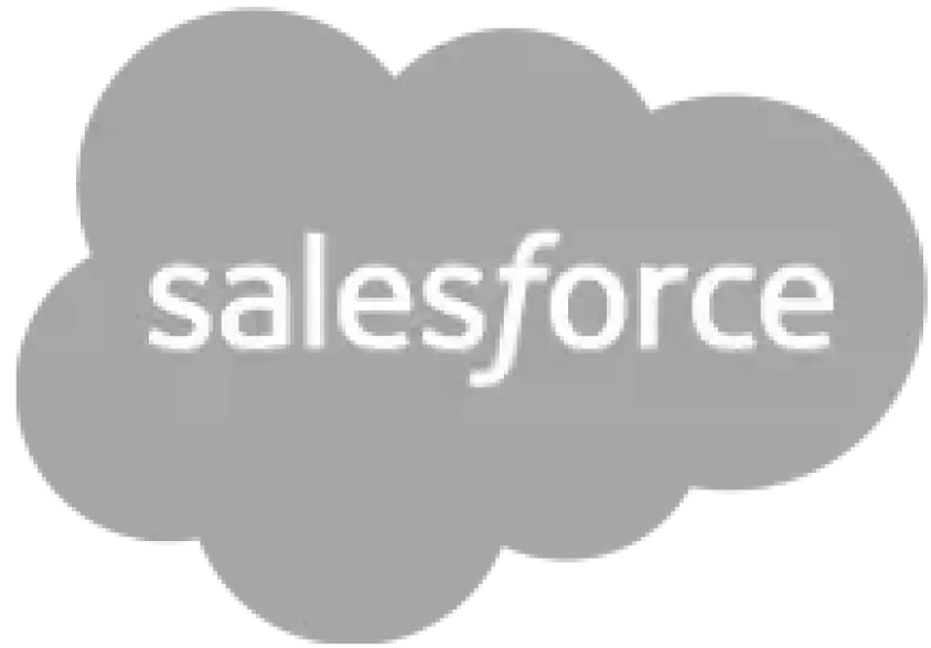 Salesforce technology partner